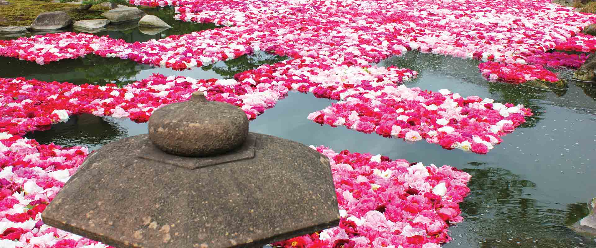 14 day, japanese spring blossoms, gardens & culture cruise, coastal