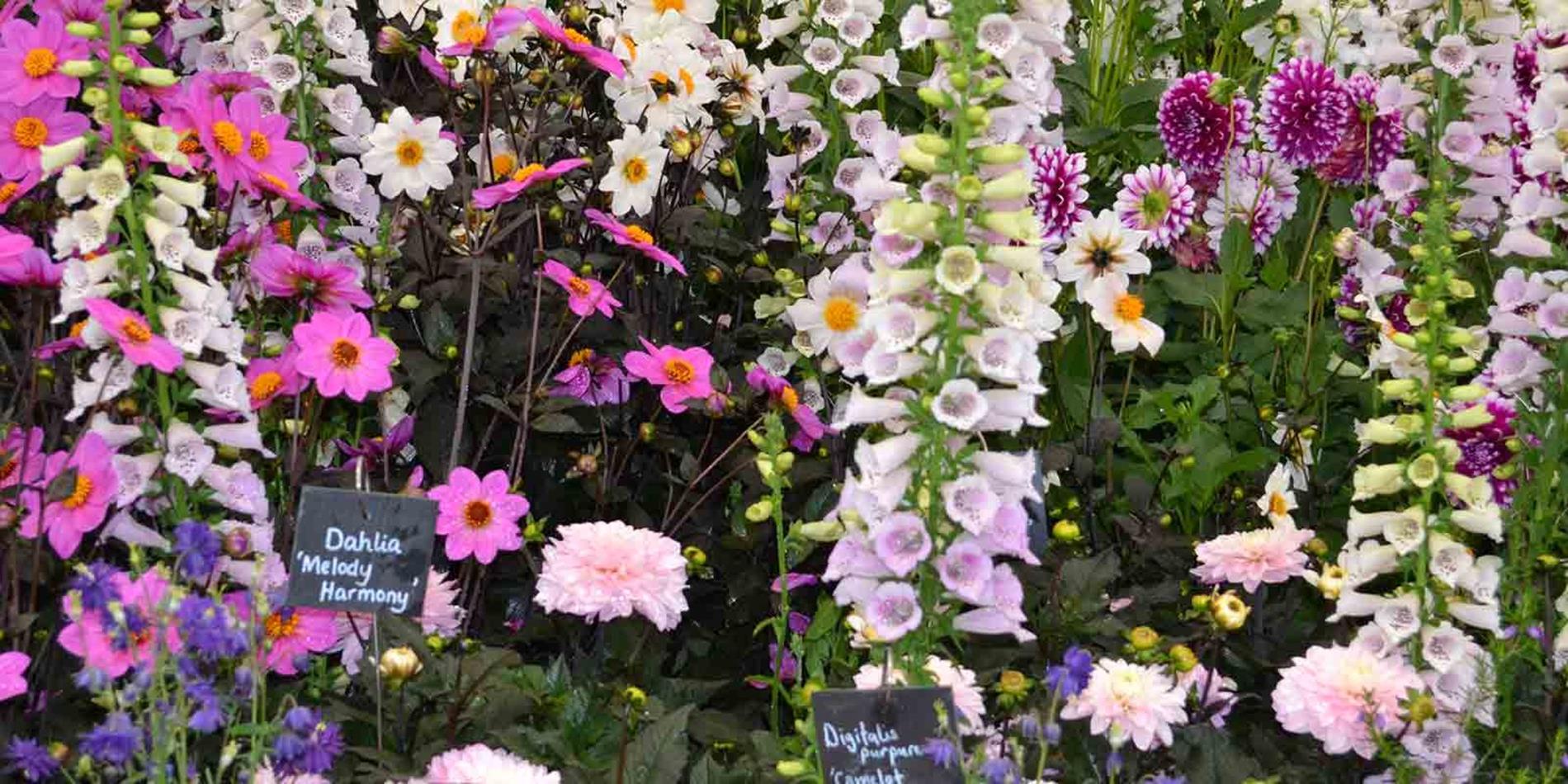 9 day, chelsea flower show, cotswolds & welsh gardens, small group